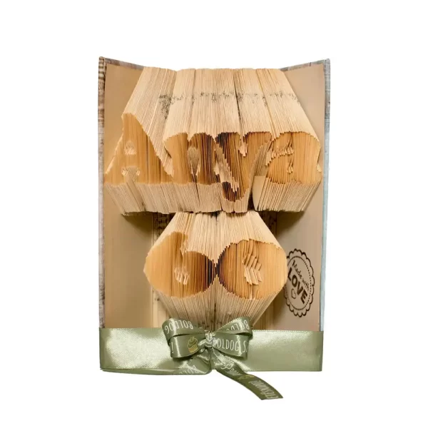 Könyvszobor Anya 60